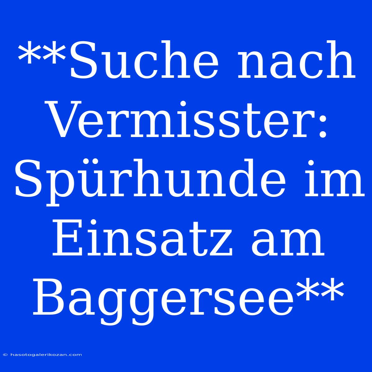 **Suche Nach Vermisster: Spürhunde Im Einsatz Am Baggersee**