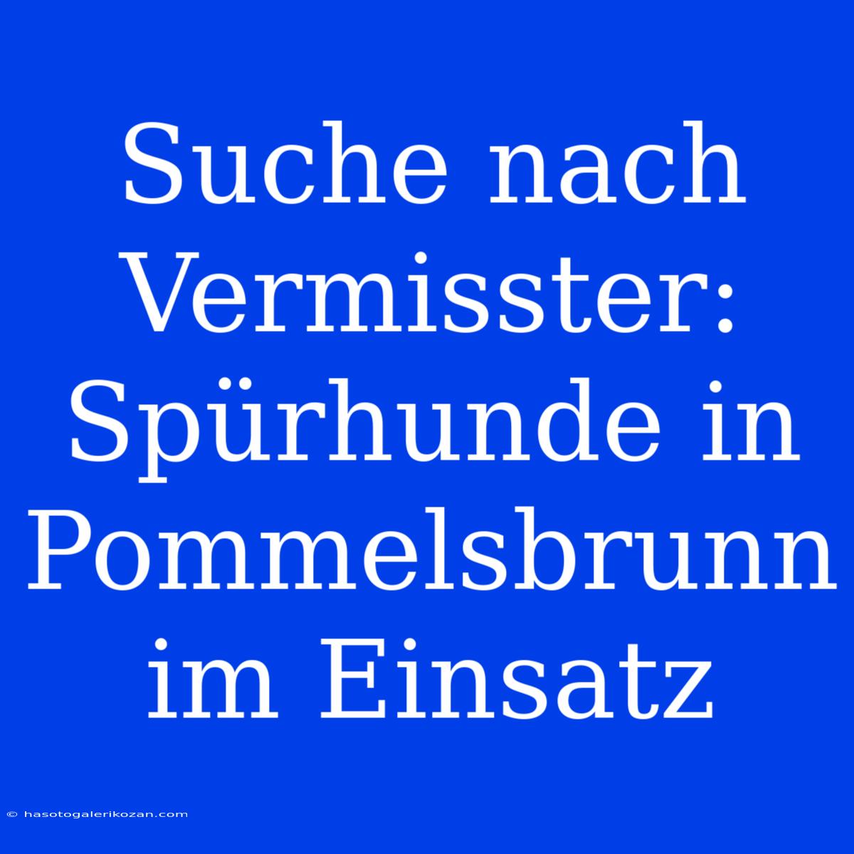 Suche Nach Vermisster: Spürhunde In Pommelsbrunn Im Einsatz