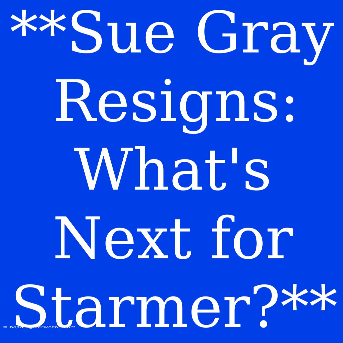 **Sue Gray Resigns: What's Next For Starmer?**