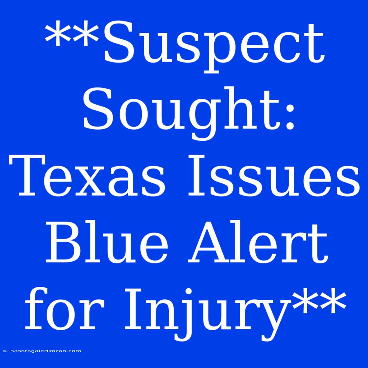 **Suspect Sought: Texas Issues Blue Alert For Injury**