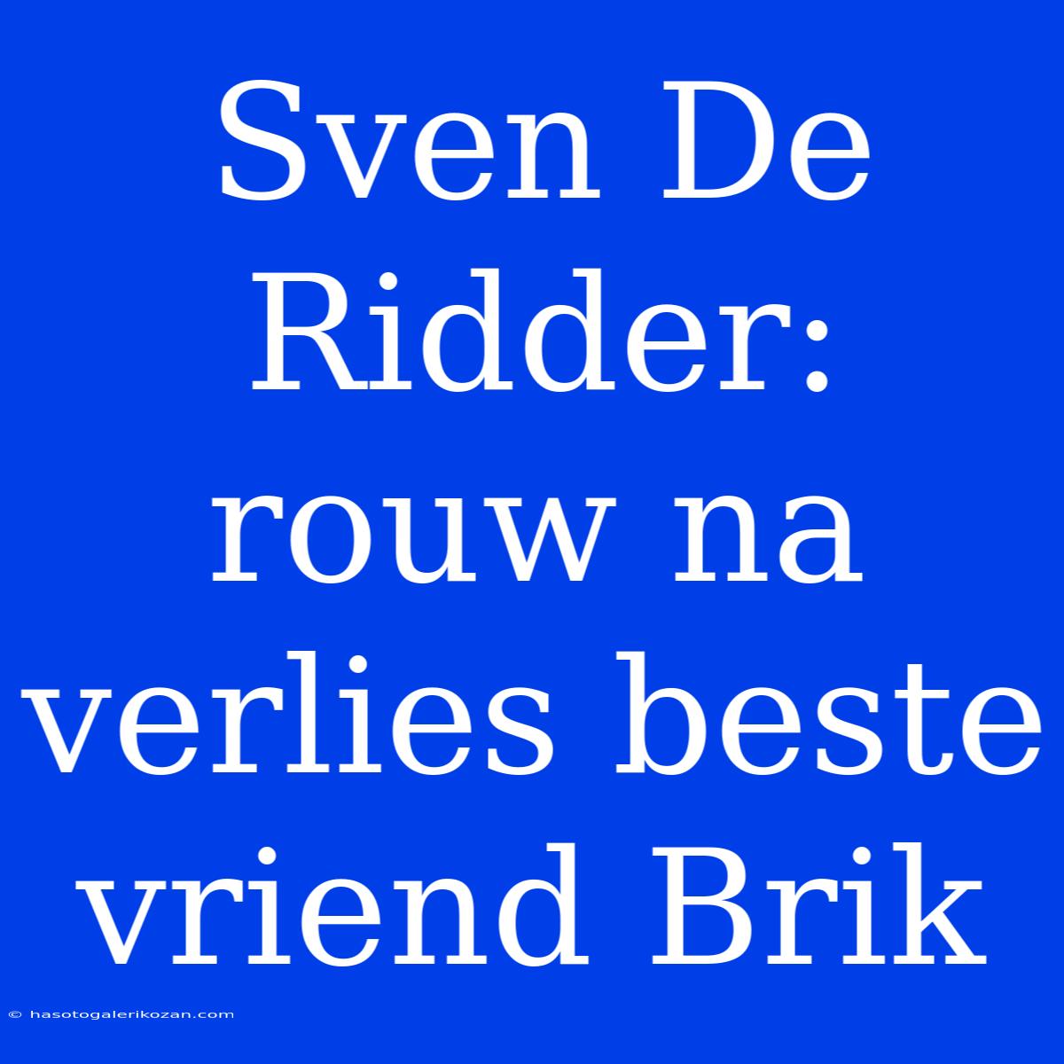 Sven De Ridder: Rouw Na Verlies Beste Vriend Brik 