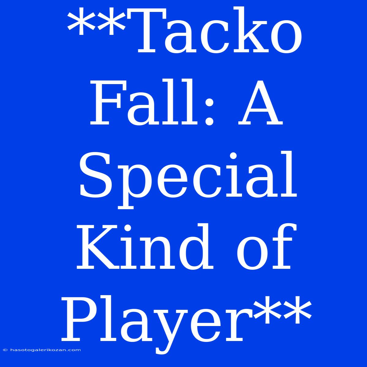 **Tacko Fall: A Special Kind Of Player**