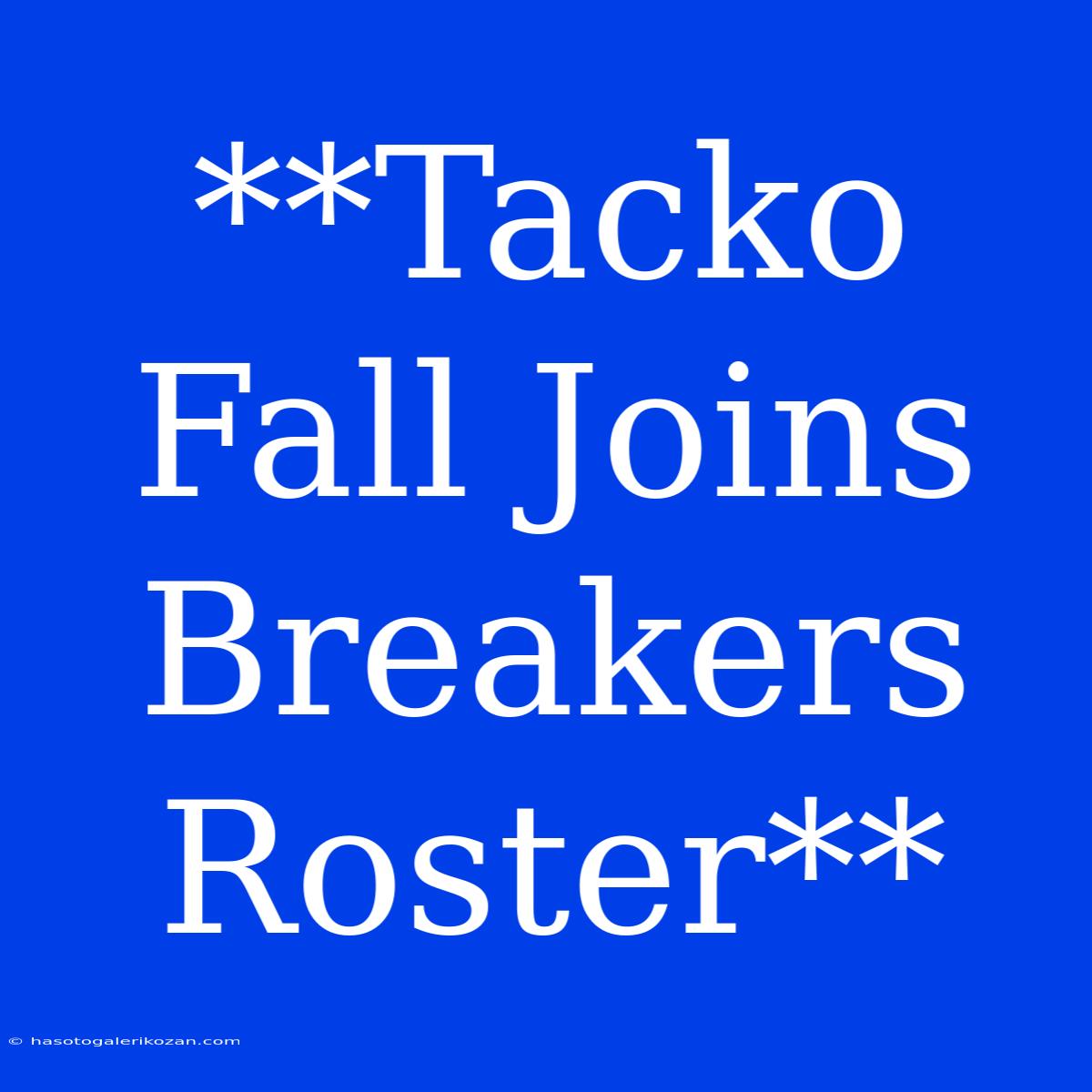 **Tacko Fall Joins Breakers Roster**