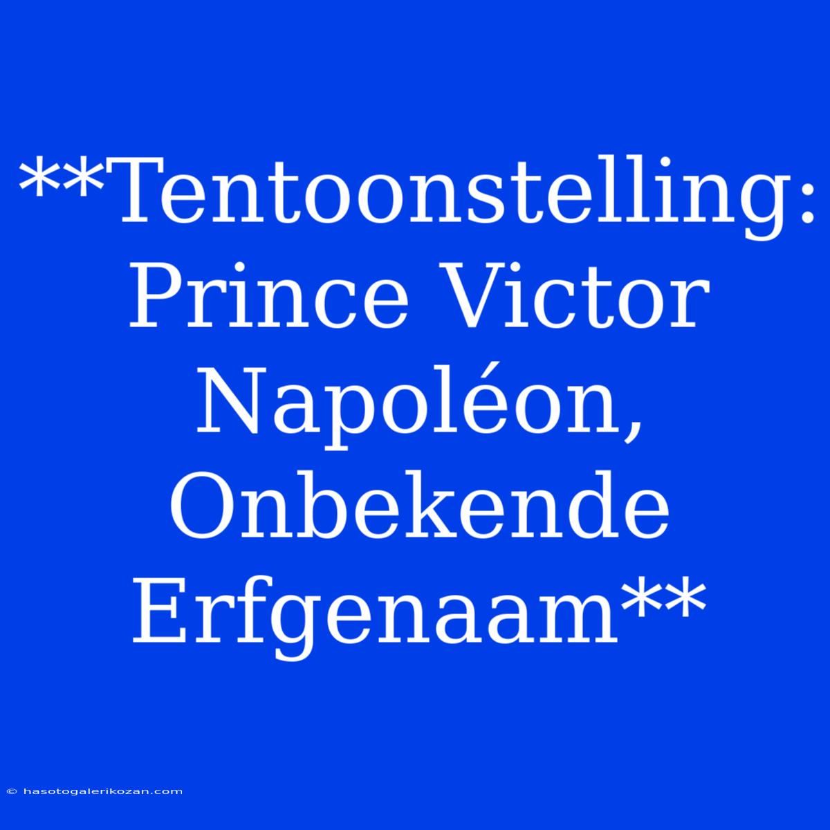 **Tentoonstelling: Prince Victor Napoléon, Onbekende Erfgenaam**