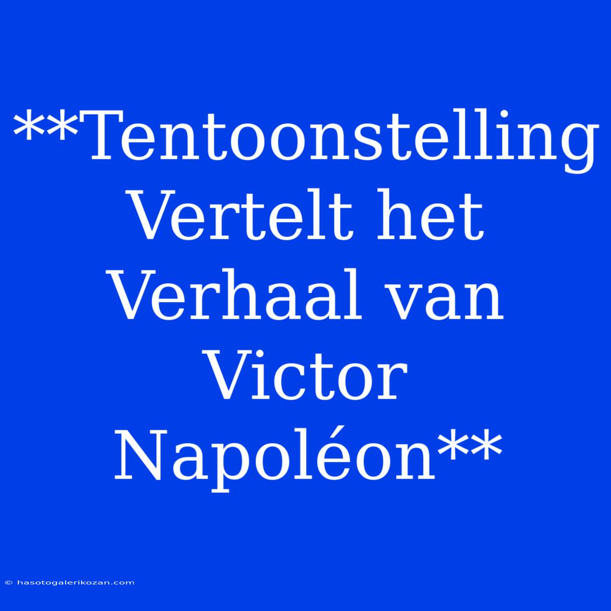 **Tentoonstelling Vertelt Het Verhaal Van Victor Napoléon**