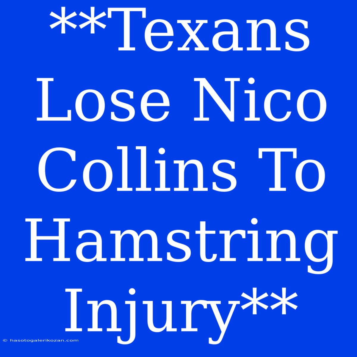 **Texans Lose Nico Collins To Hamstring Injury** 