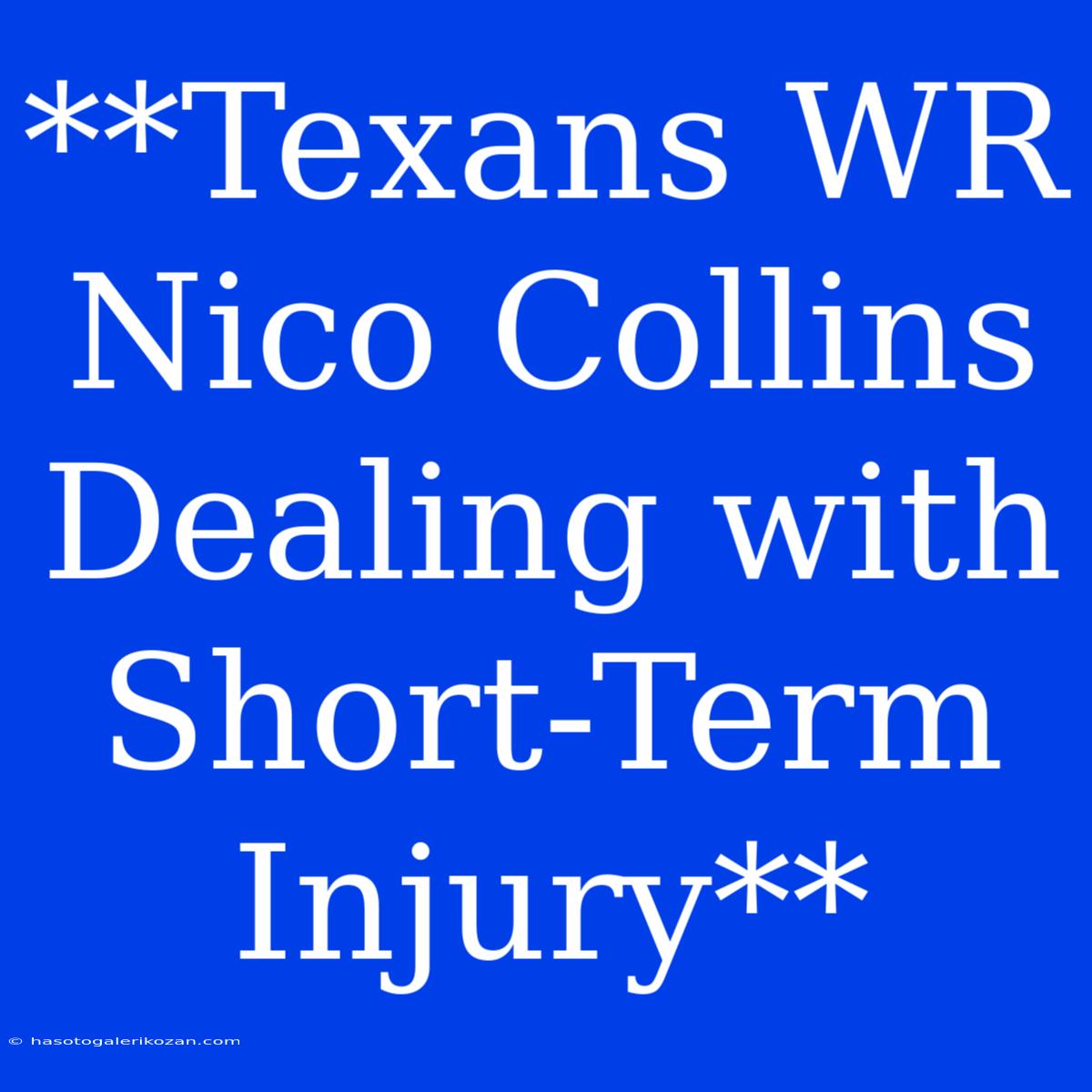 **Texans WR Nico Collins Dealing With Short-Term Injury**