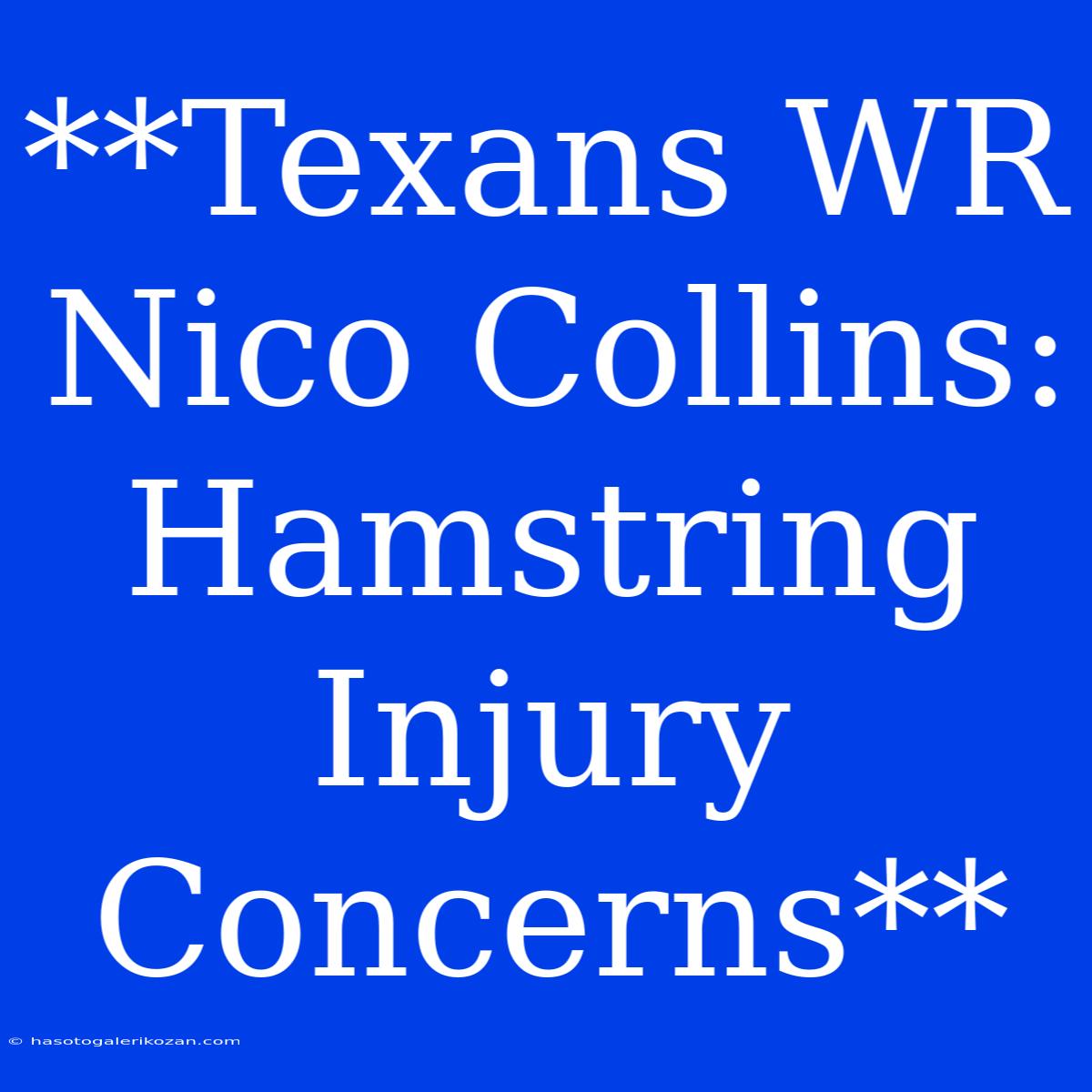 **Texans WR Nico Collins: Hamstring Injury Concerns**