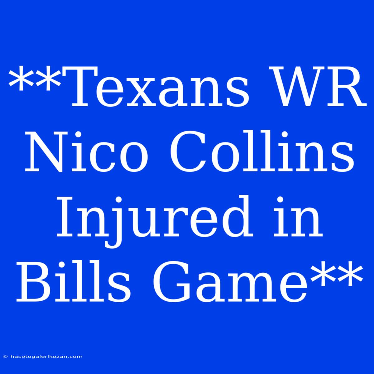 **Texans WR Nico Collins Injured In Bills Game**