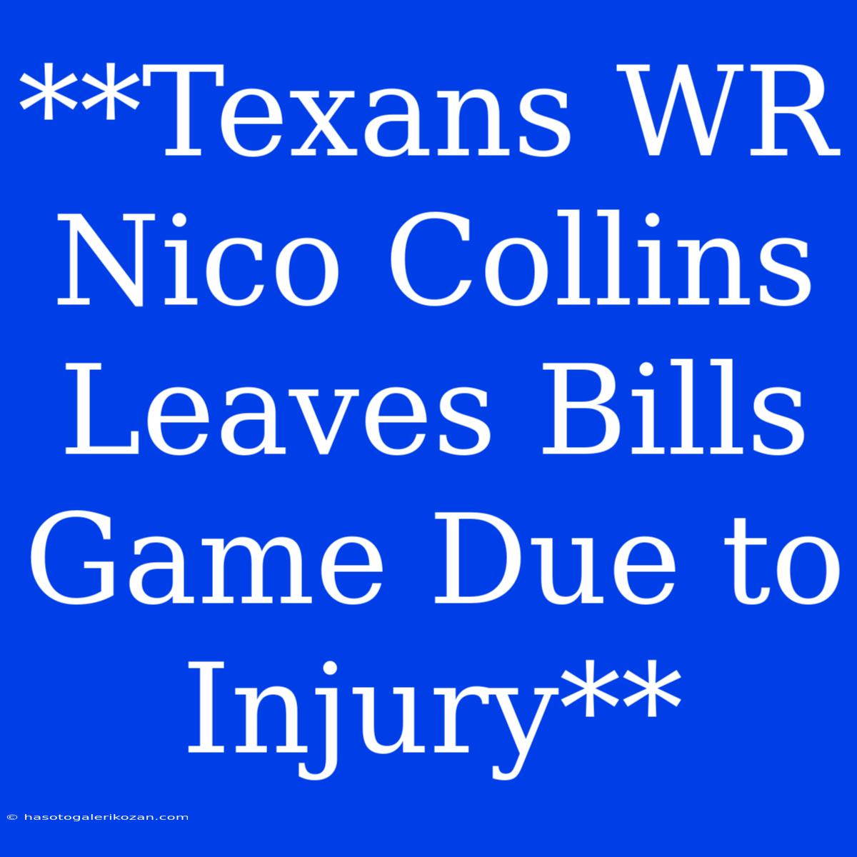 **Texans WR Nico Collins Leaves Bills Game Due To Injury**