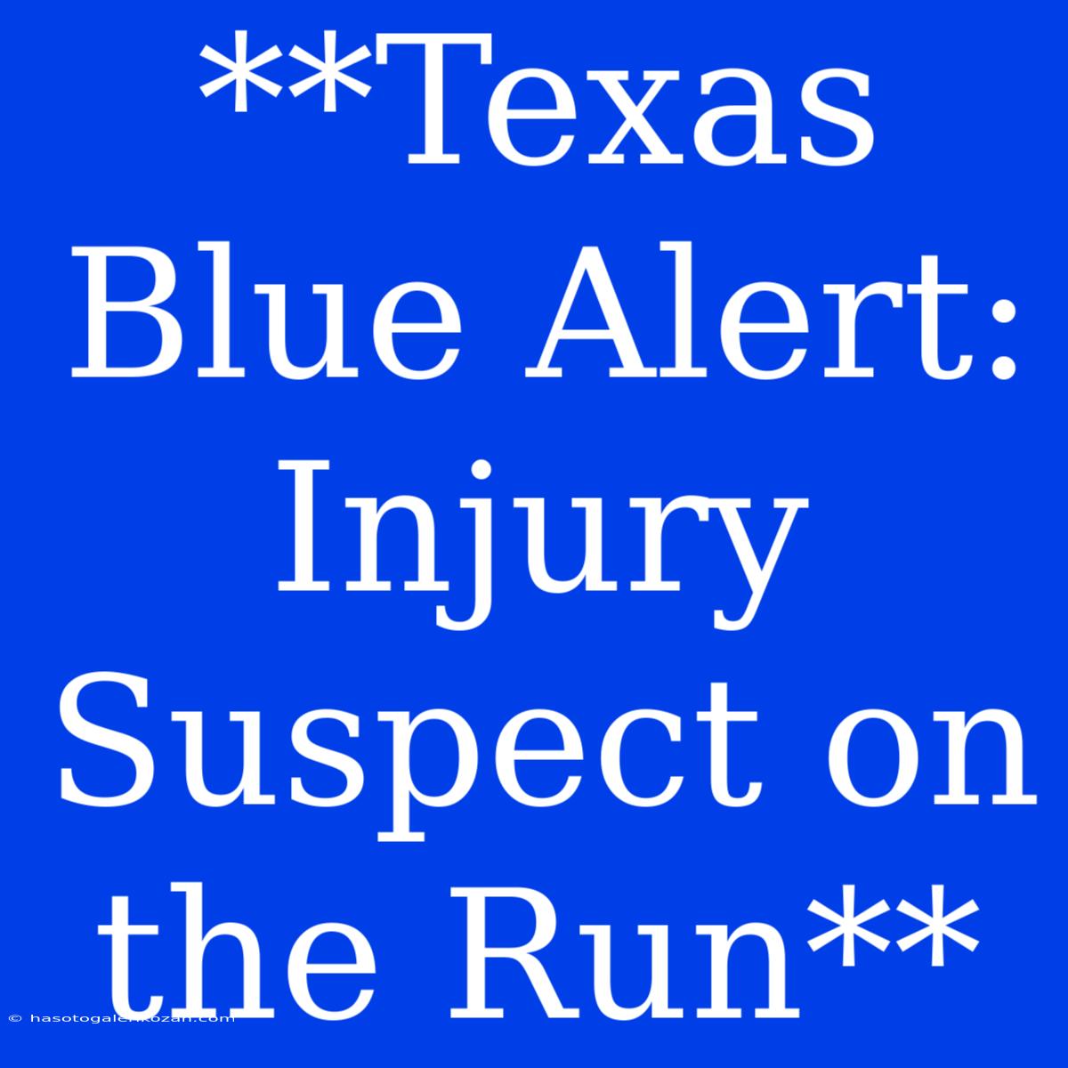 **Texas Blue Alert: Injury Suspect On The Run** 