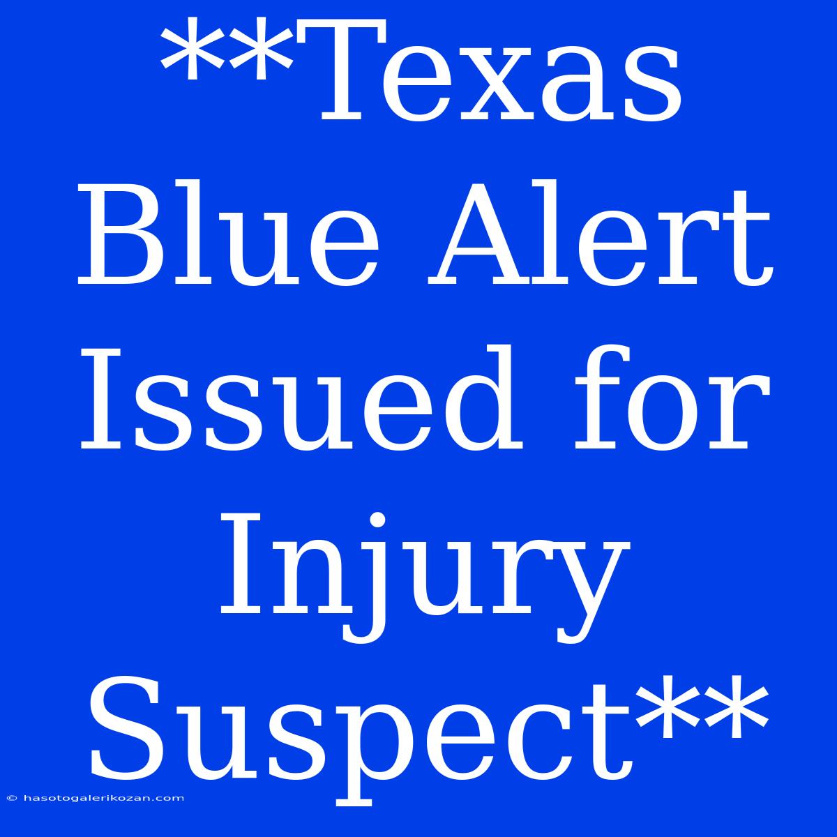 **Texas Blue Alert Issued For Injury Suspect**