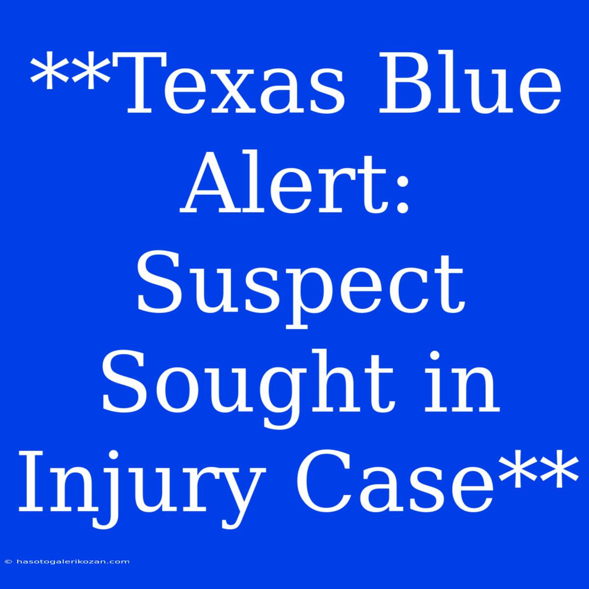 **Texas Blue Alert: Suspect Sought In Injury Case**