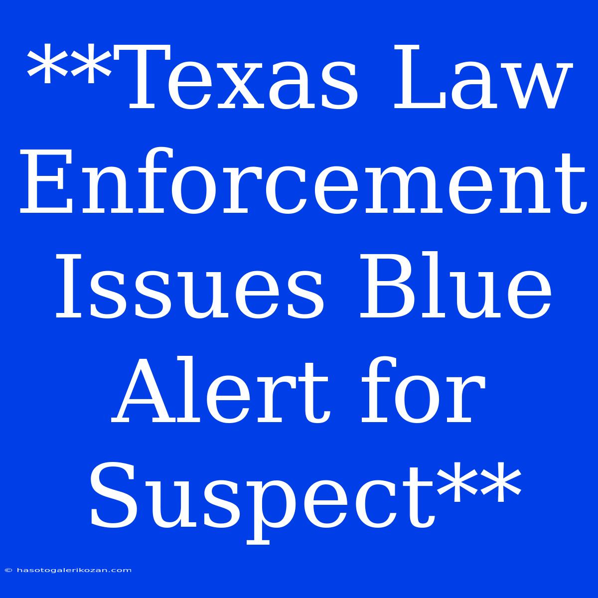 **Texas Law Enforcement Issues Blue Alert For Suspect**