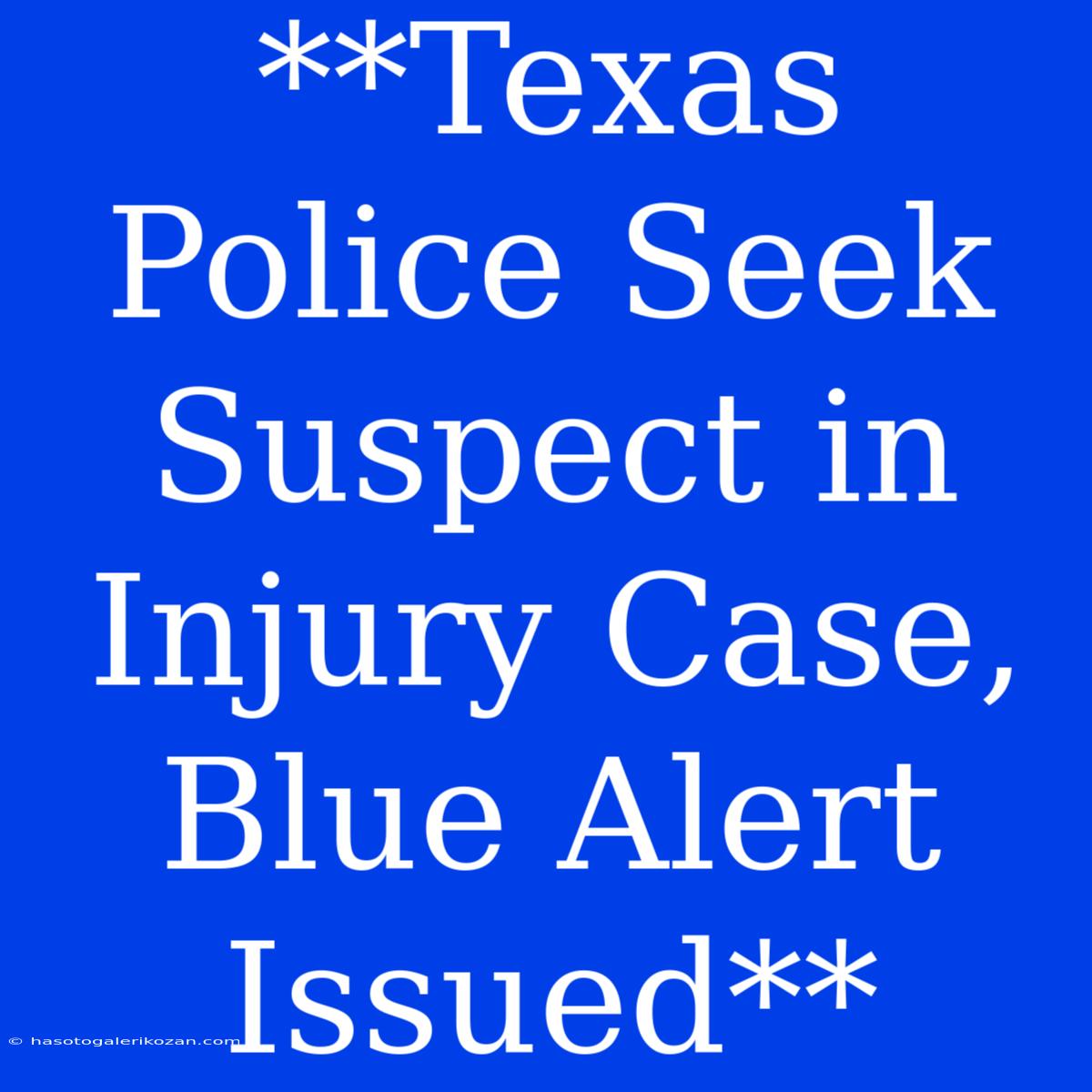 **Texas Police Seek Suspect In Injury Case, Blue Alert Issued**