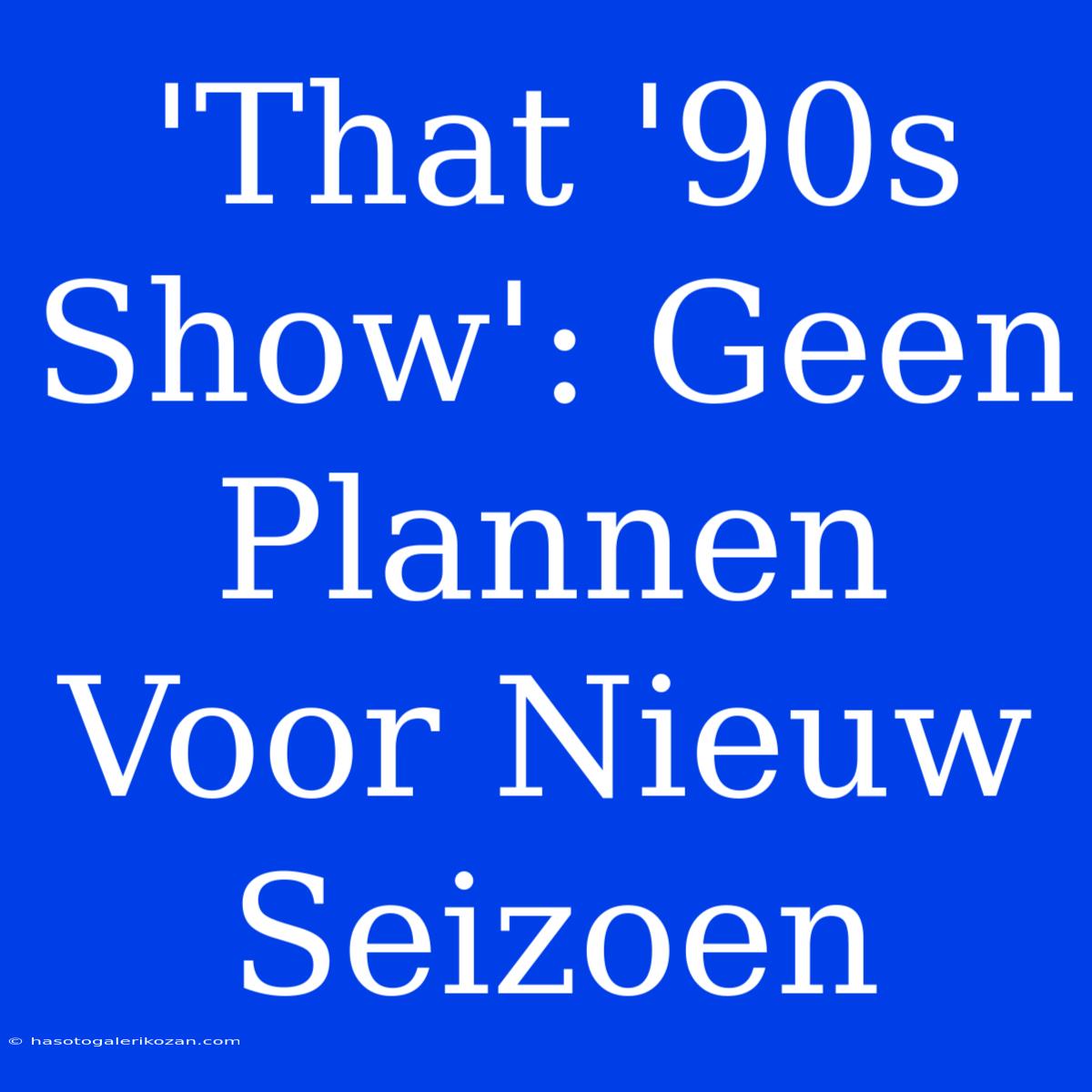 'That '90s Show': Geen Plannen Voor Nieuw Seizoen 