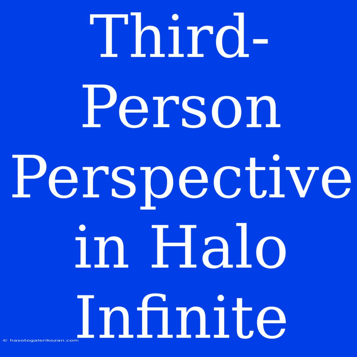 Third-Person Perspective In Halo Infinite