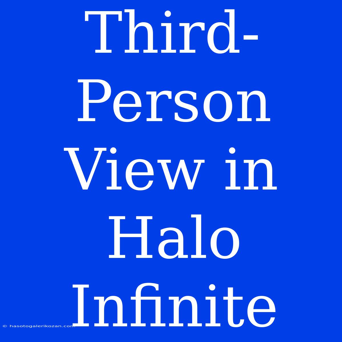 Third-Person View In Halo Infinite