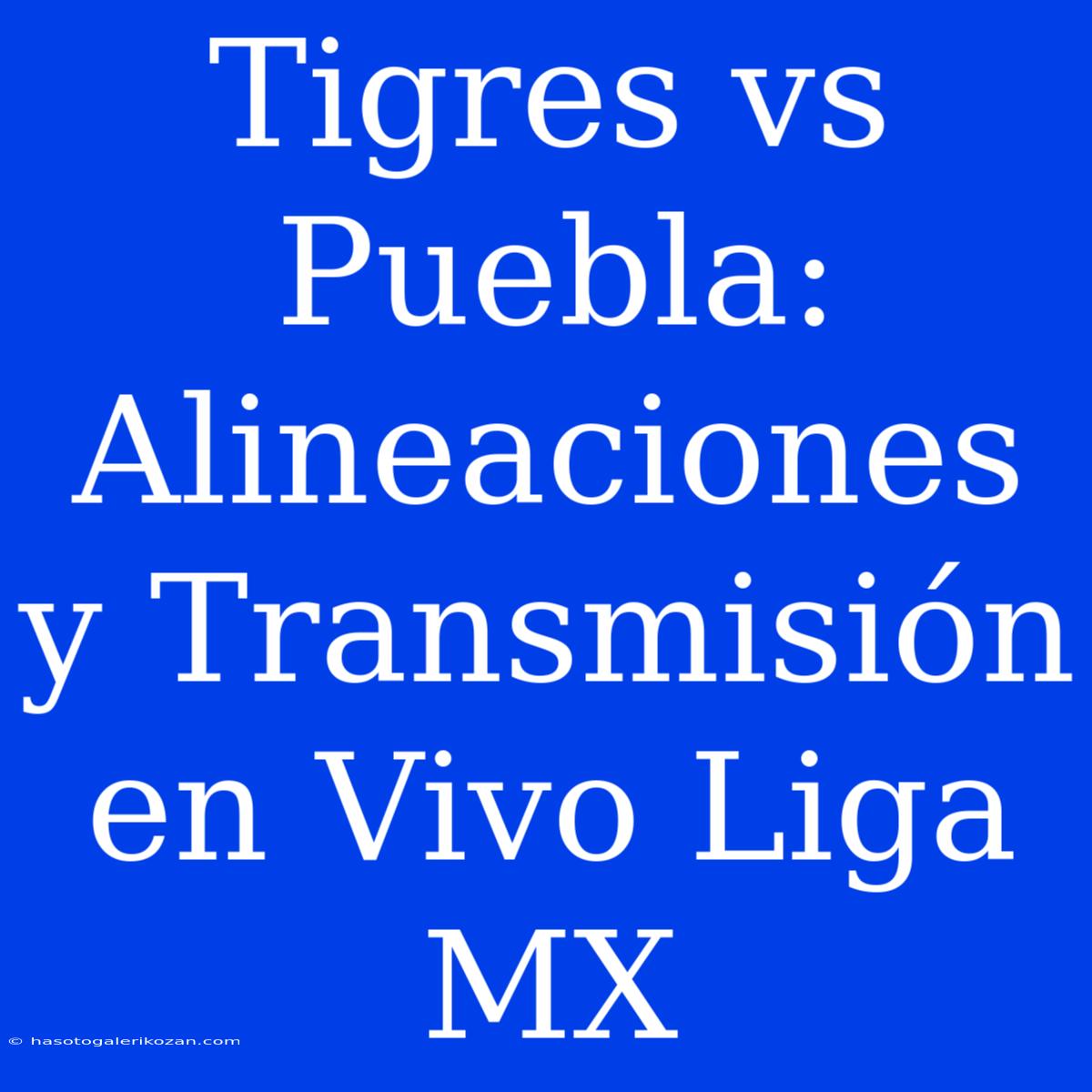 Tigres Vs Puebla: Alineaciones Y Transmisión En Vivo Liga MX