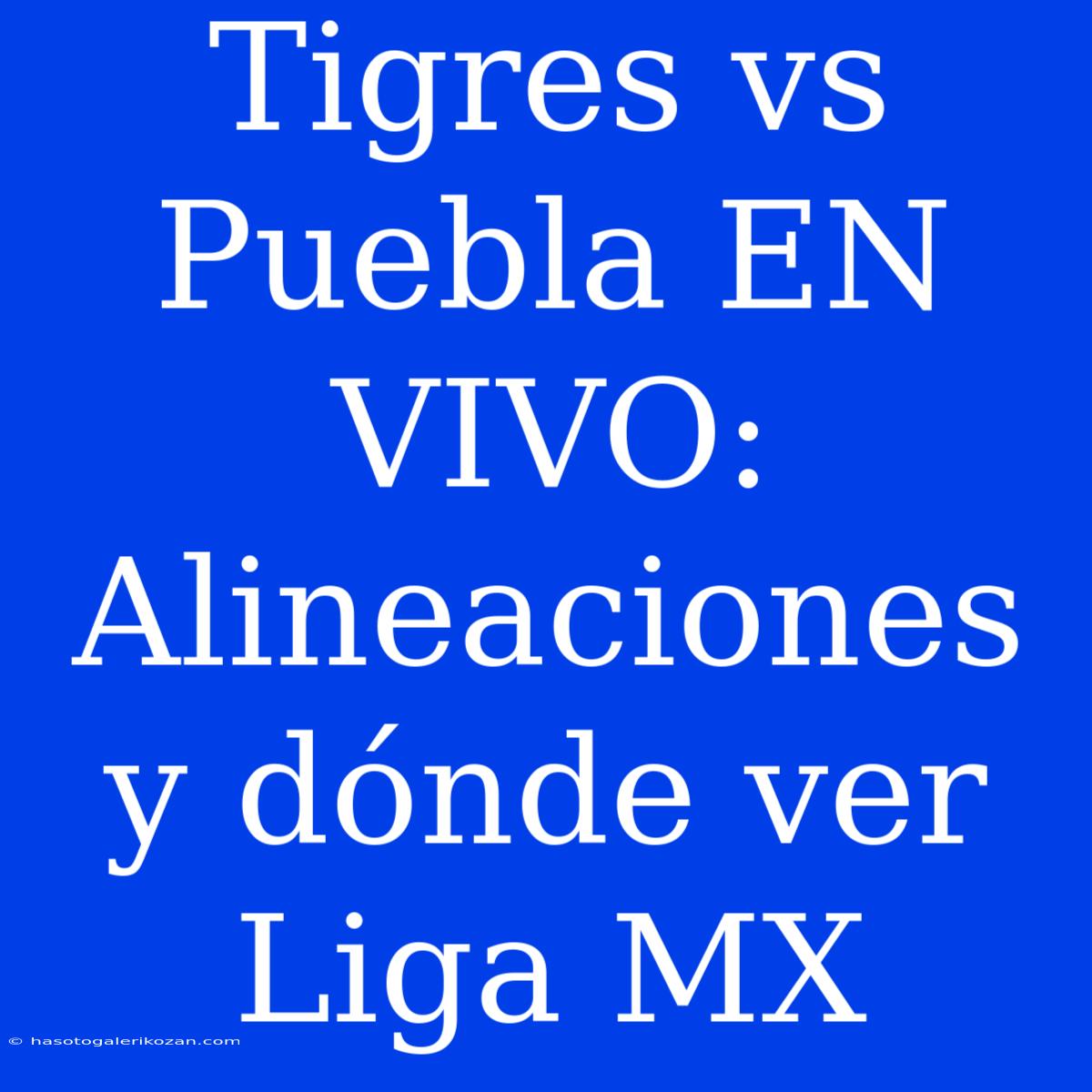 Tigres Vs Puebla EN VIVO: Alineaciones Y Dónde Ver Liga MX