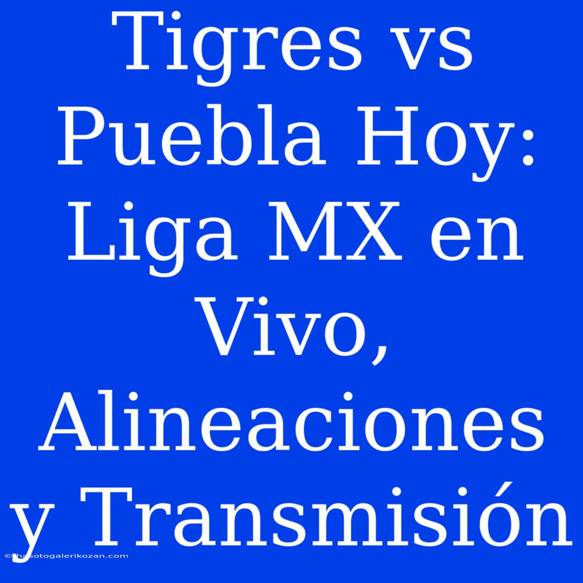 Tigres Vs Puebla Hoy: Liga MX En Vivo, Alineaciones Y Transmisión