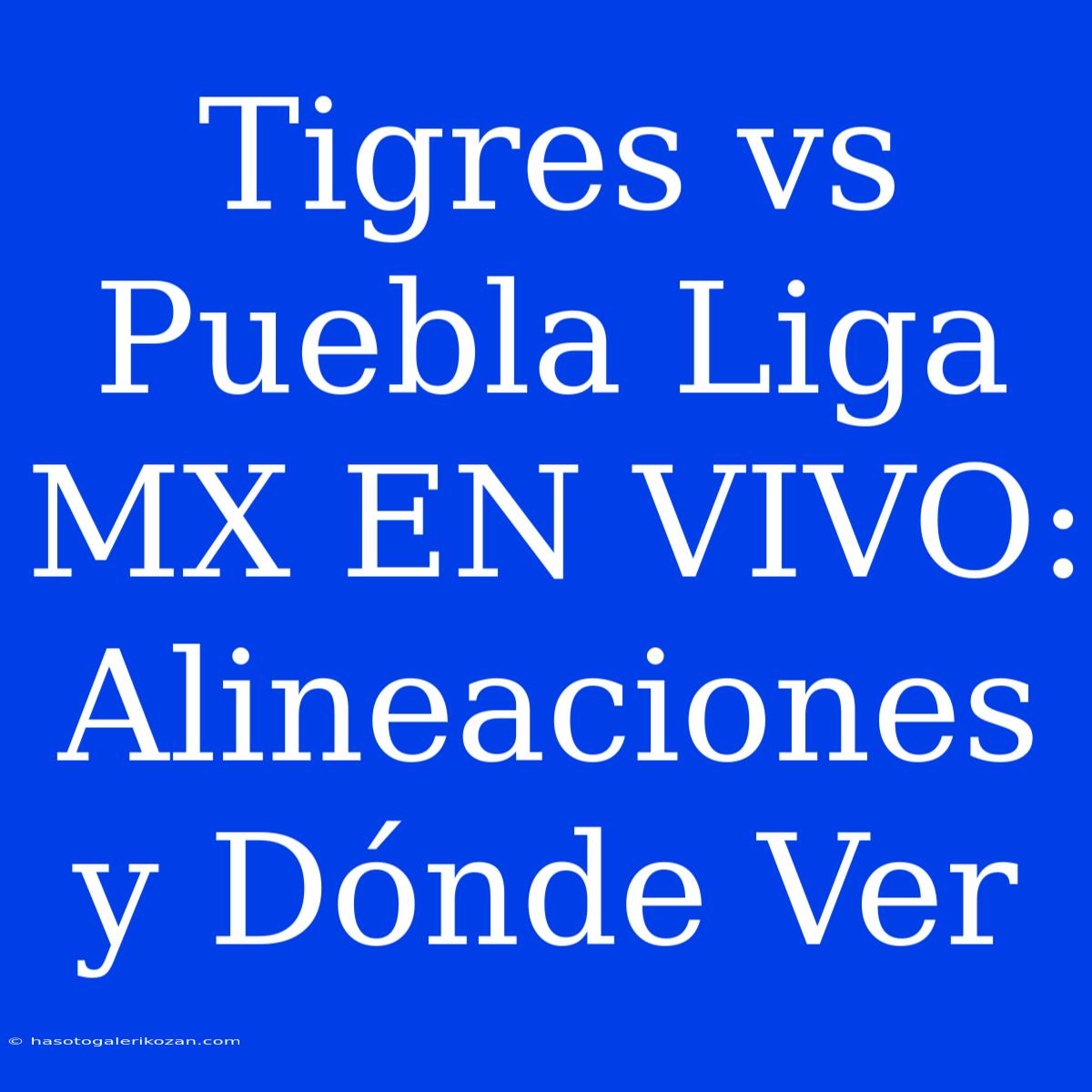 Tigres Vs Puebla Liga MX EN VIVO: Alineaciones Y Dónde Ver