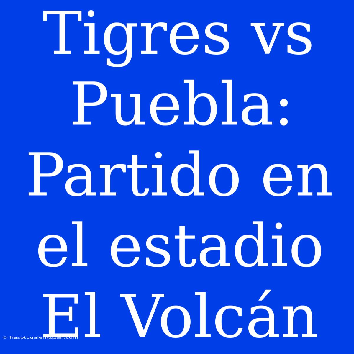 Tigres Vs Puebla: Partido En El Estadio El Volcán 