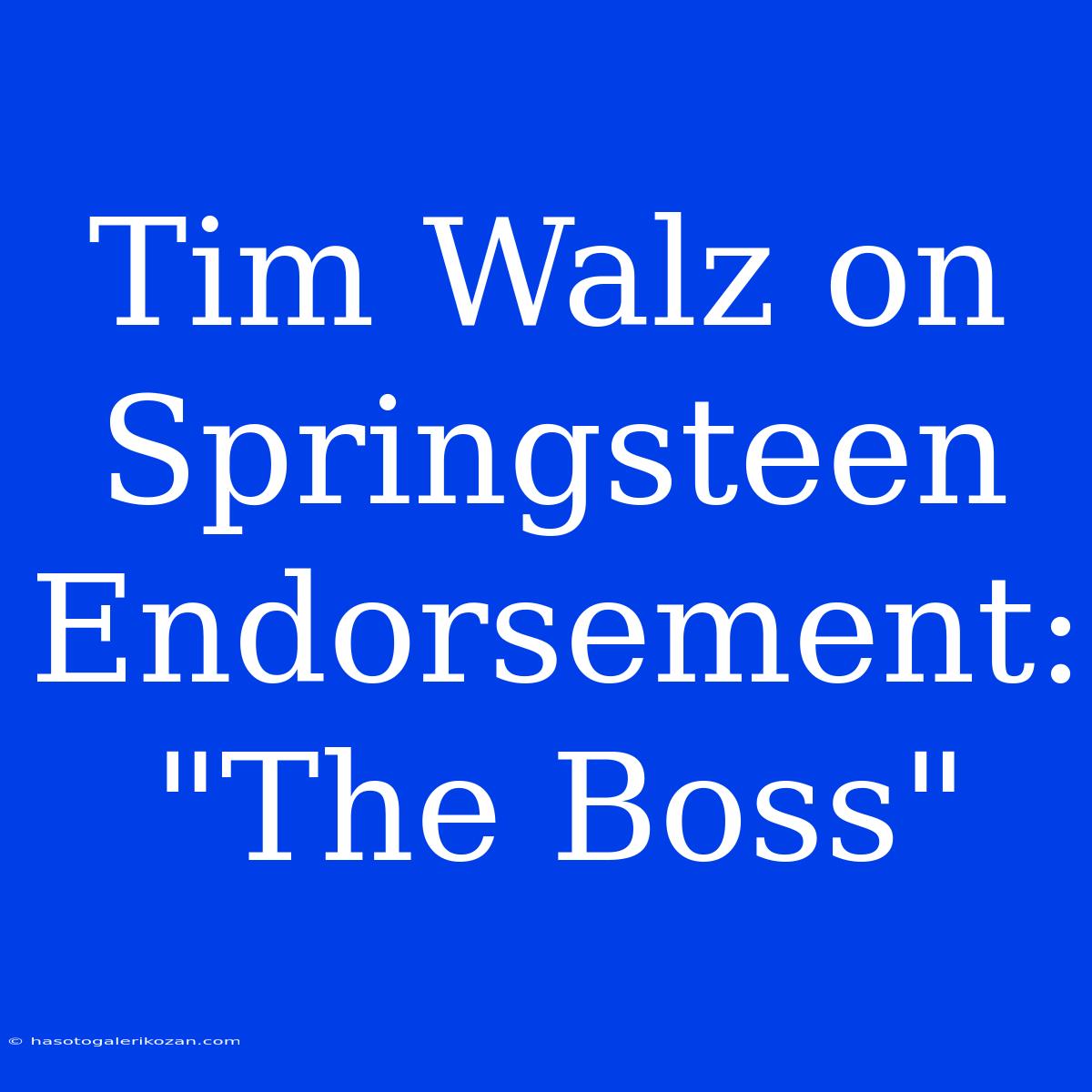 Tim Walz On Springsteen Endorsement: 