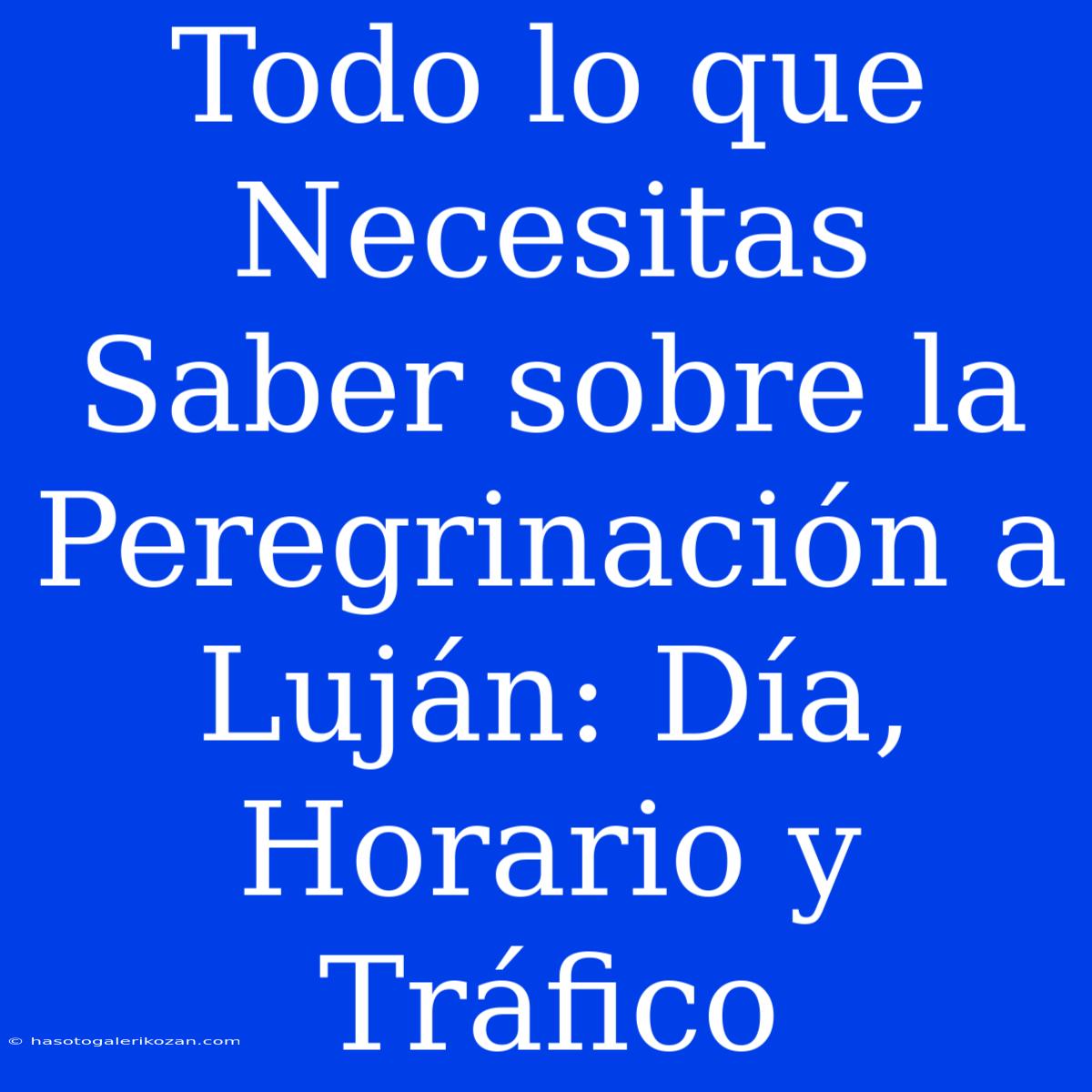 Todo Lo Que Necesitas Saber Sobre La Peregrinación A Luján: Día, Horario Y Tráfico