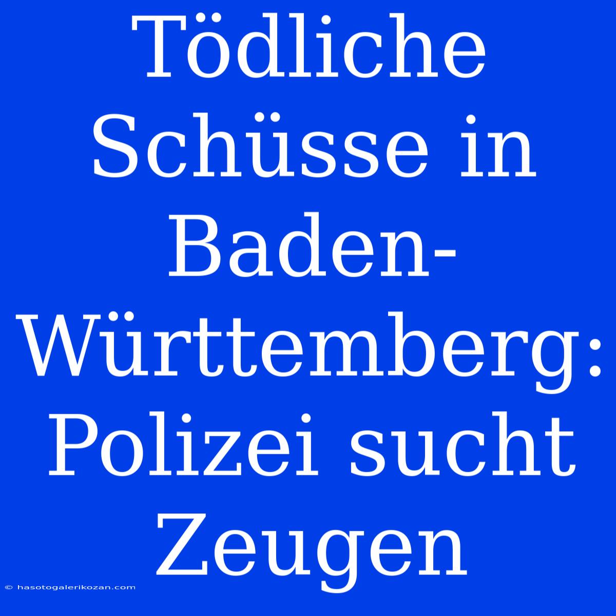 Tödliche Schüsse In Baden-Württemberg: Polizei Sucht Zeugen