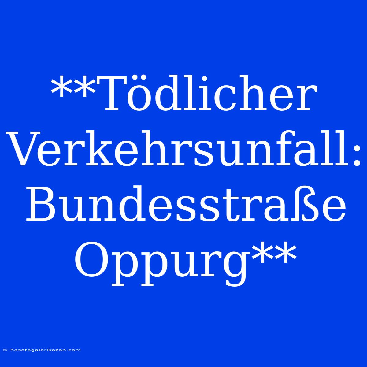 **Tödlicher Verkehrsunfall: Bundesstraße Oppurg**