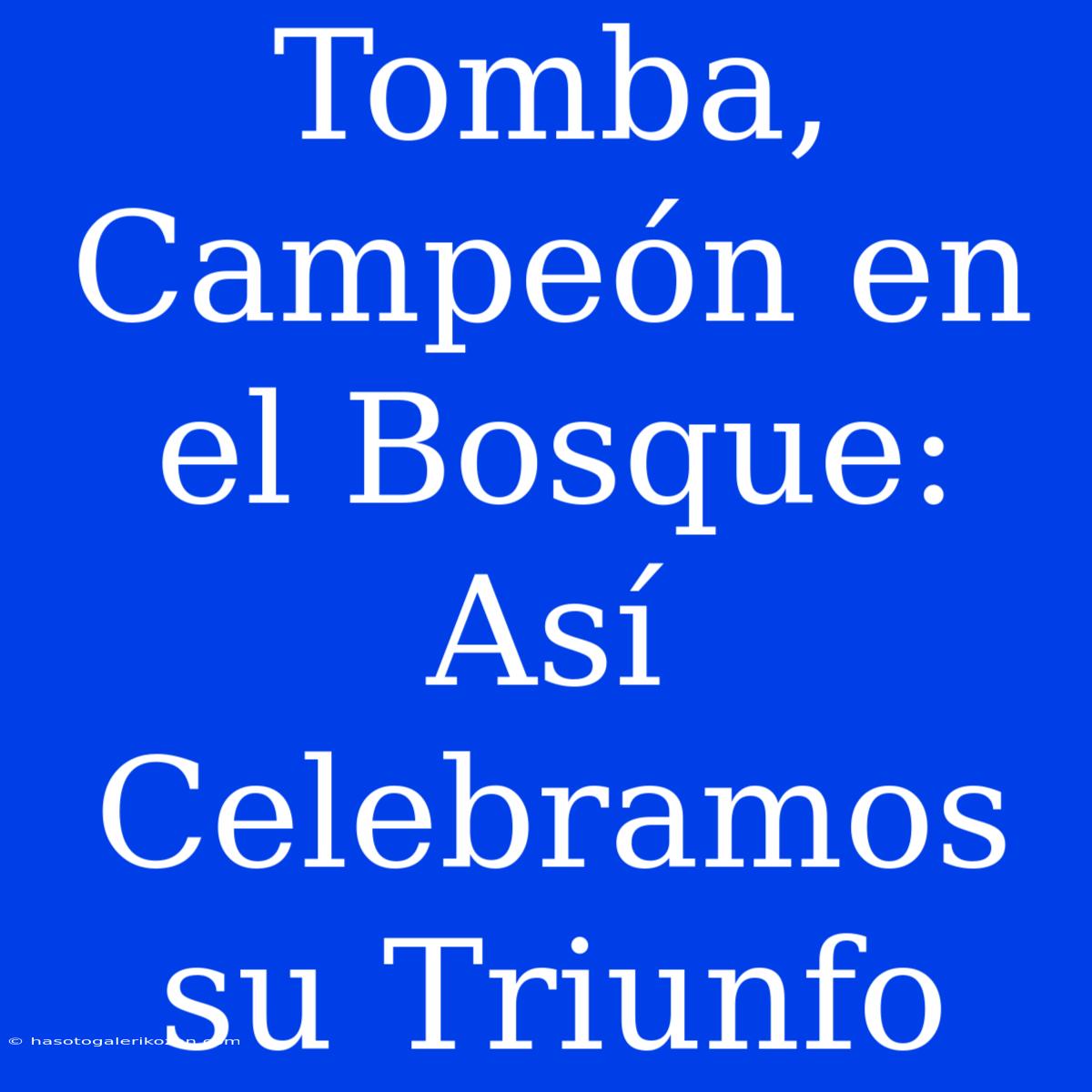 Tomba, Campeón En El Bosque: Así Celebramos Su Triunfo