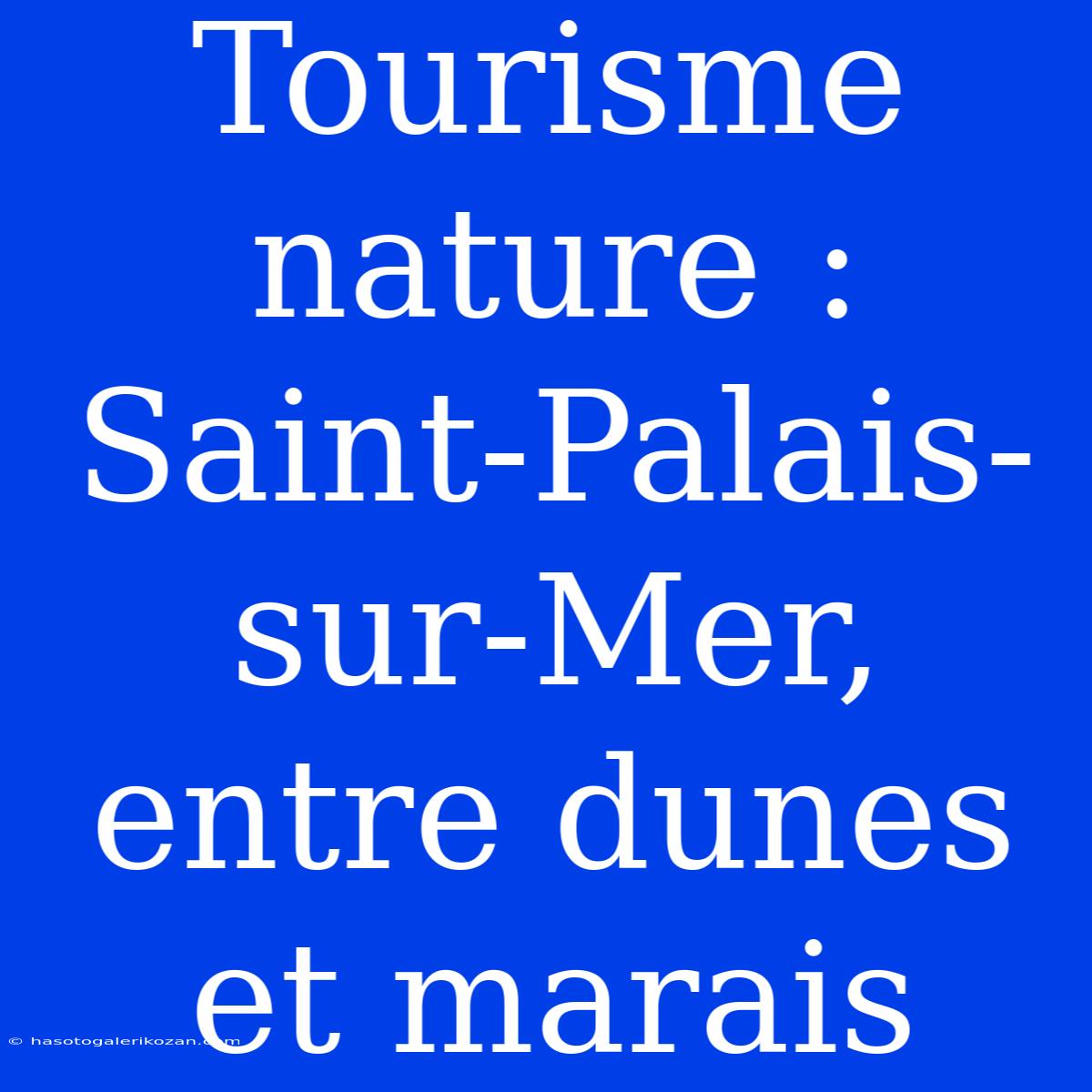 Tourisme Nature : Saint-Palais-sur-Mer, Entre Dunes Et Marais 