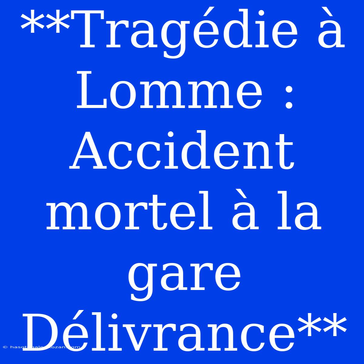 **Tragédie À Lomme : Accident Mortel À La Gare Délivrance**