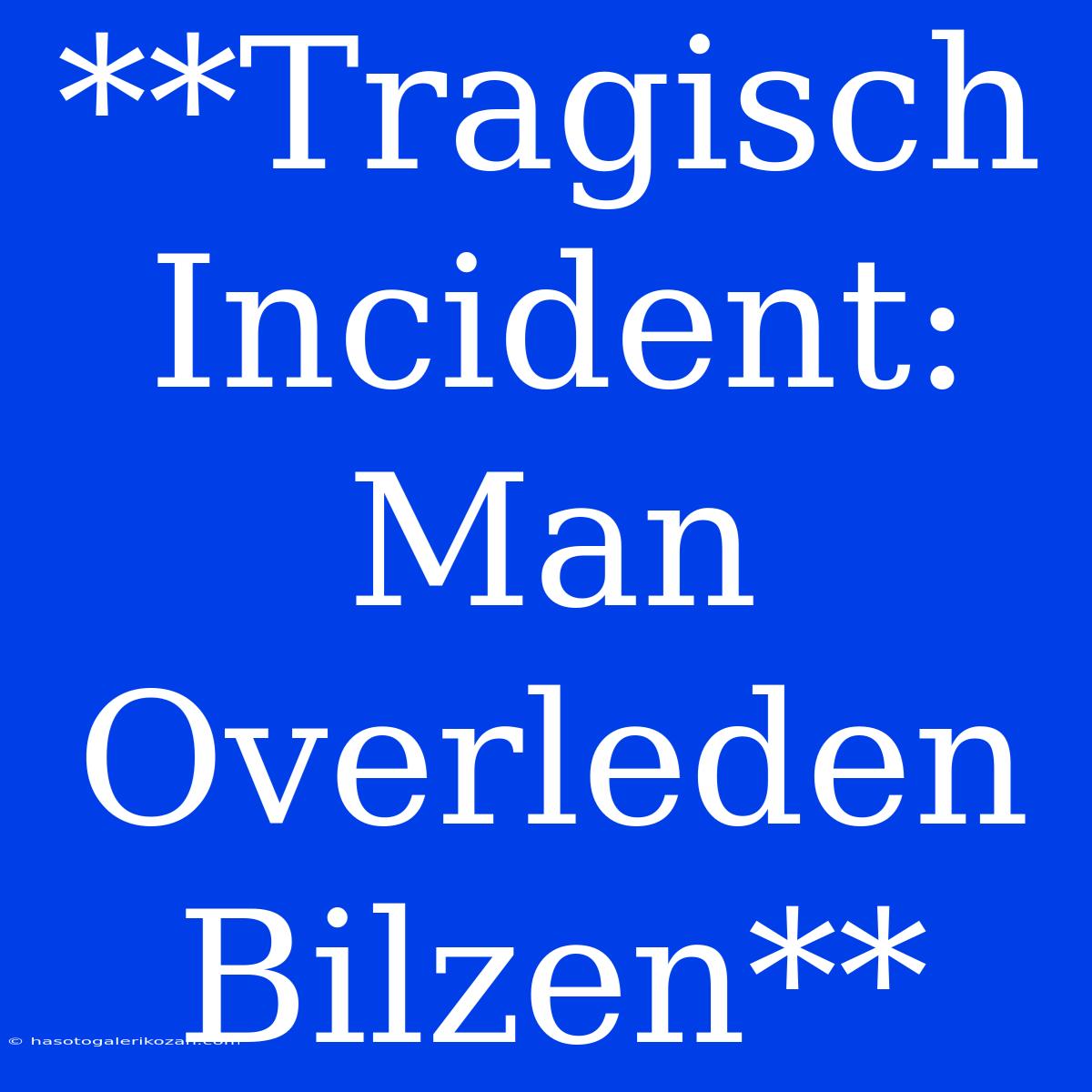 **Tragisch Incident: Man Overleden Bilzen**