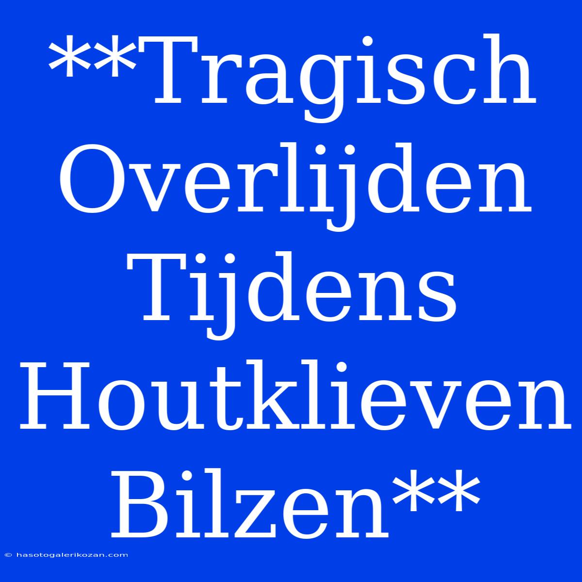 **Tragisch Overlijden Tijdens Houtklieven Bilzen**