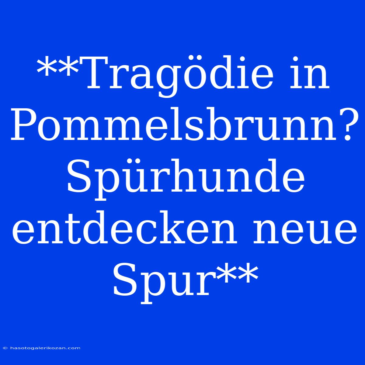 **Tragödie In Pommelsbrunn? Spürhunde Entdecken Neue Spur**