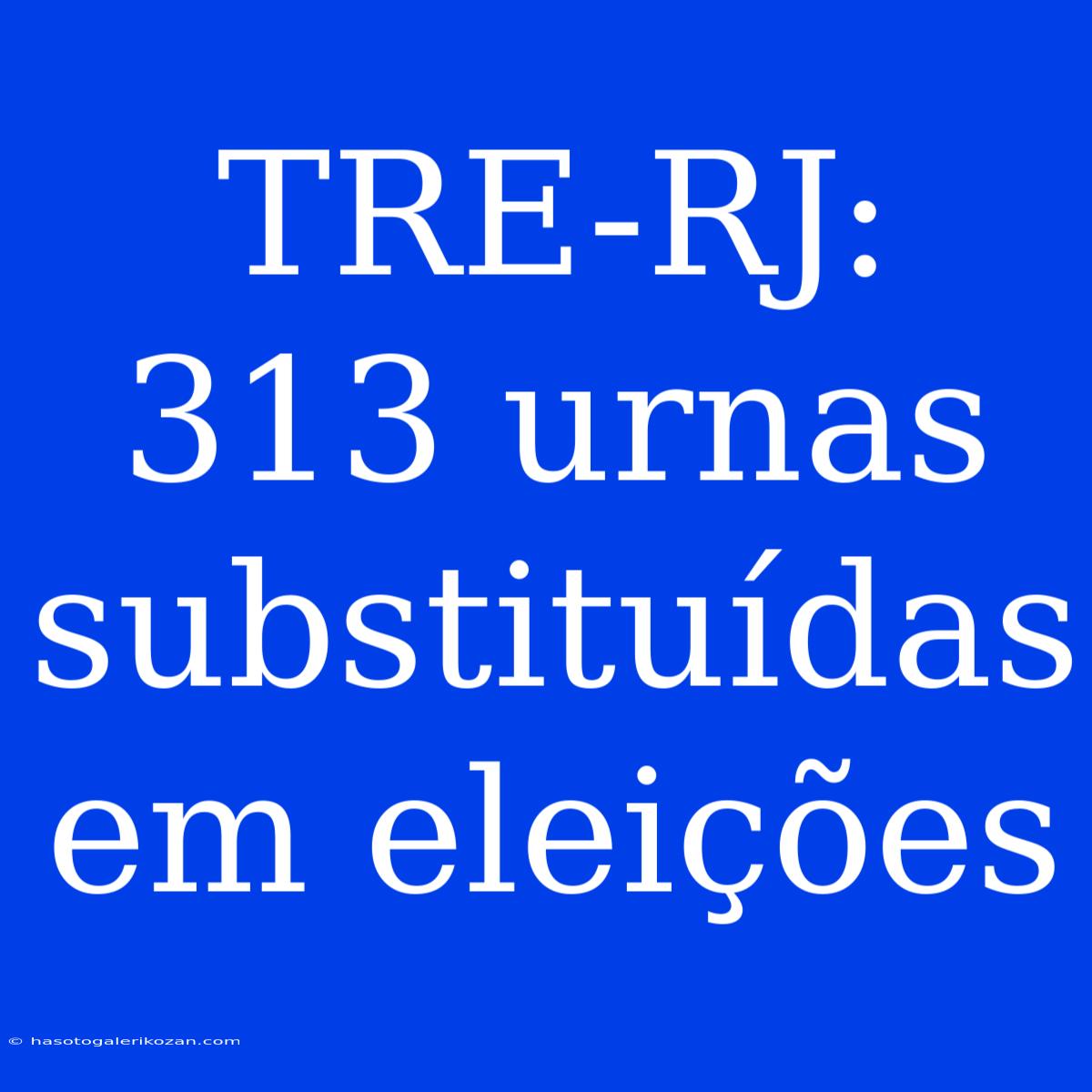 TRE-RJ: 313 Urnas Substituídas Em Eleições