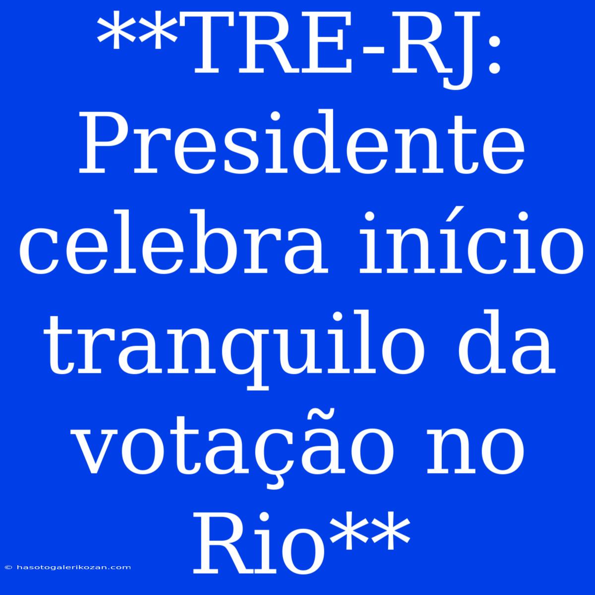 **TRE-RJ: Presidente Celebra Início Tranquilo Da Votação No Rio**