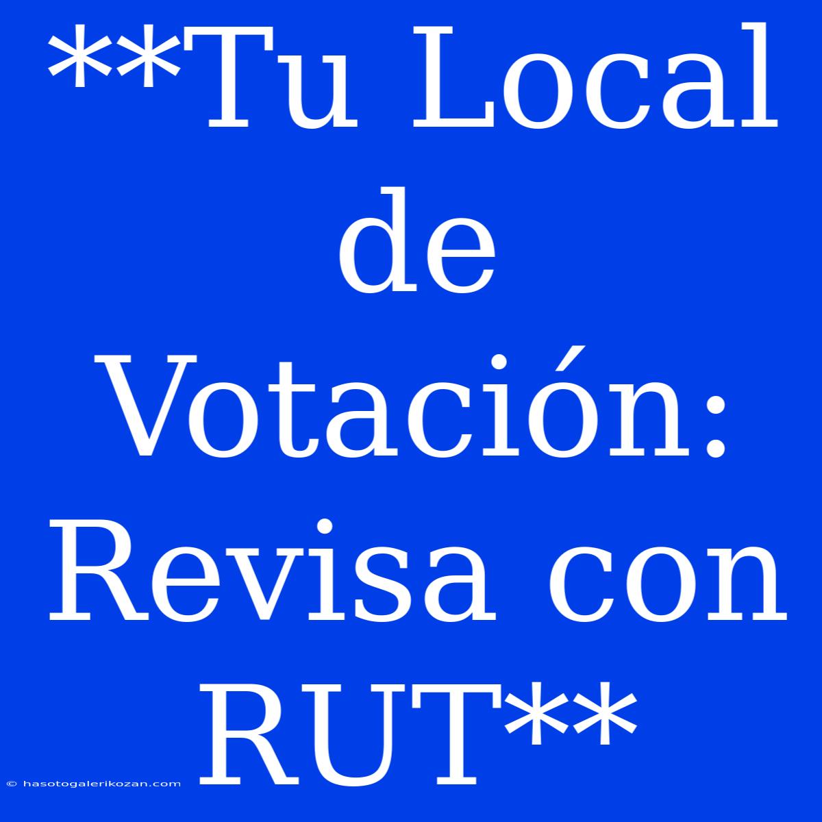 **Tu Local De Votación: Revisa Con RUT** 