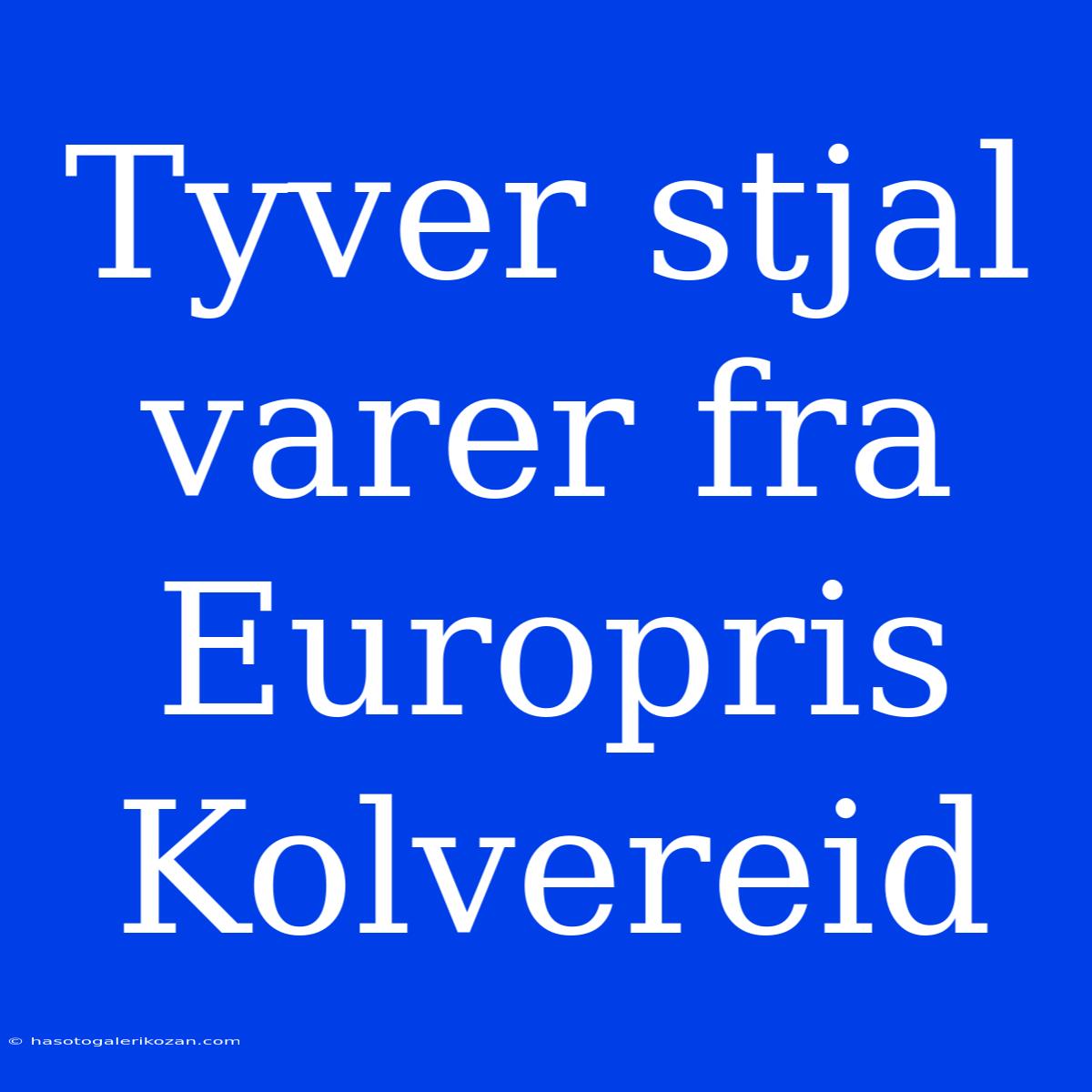 Tyver Stjal Varer Fra Europris Kolvereid