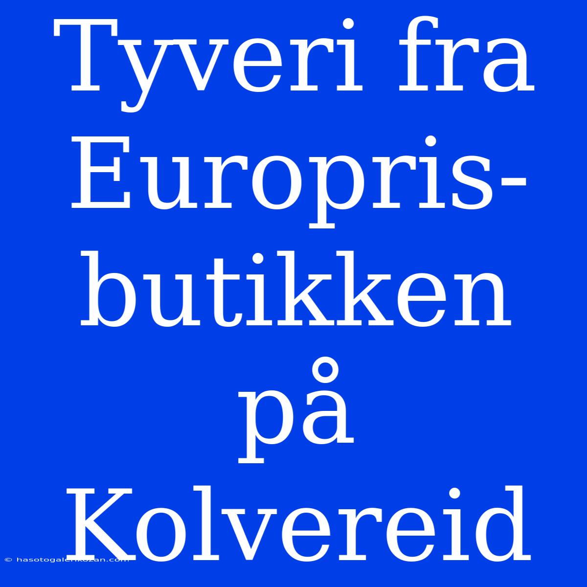 Tyveri Fra Europris-butikken På Kolvereid