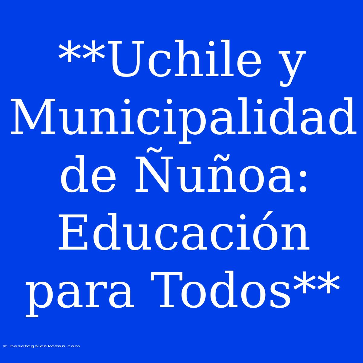 **Uchile Y Municipalidad De Ñuñoa: Educación Para Todos**