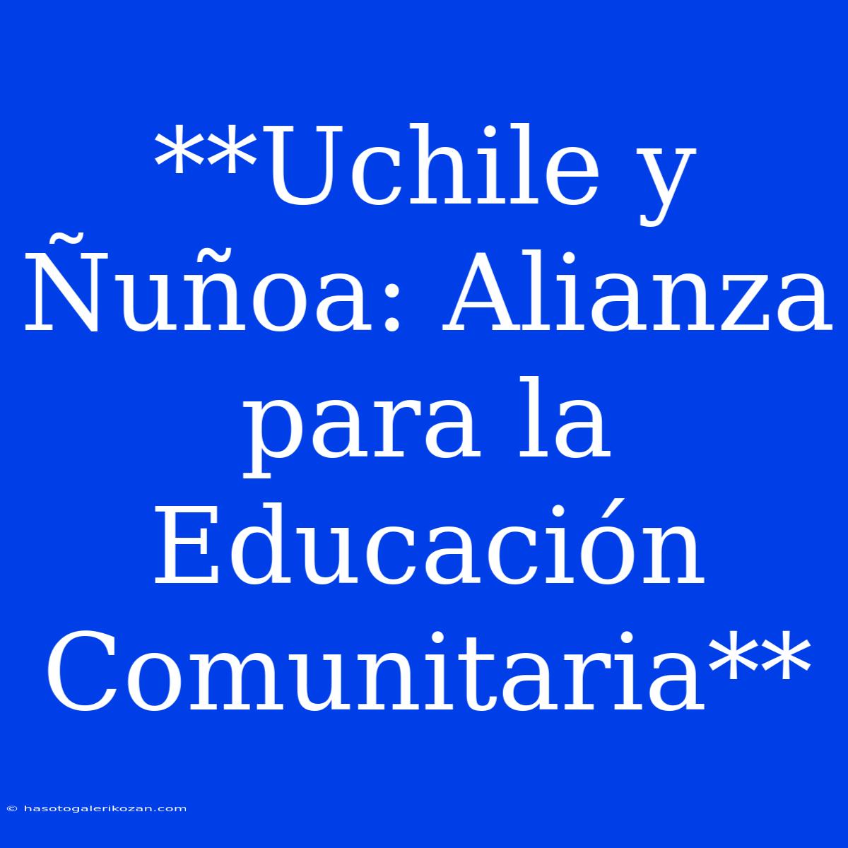 **Uchile Y Ñuñoa: Alianza Para La Educación Comunitaria**