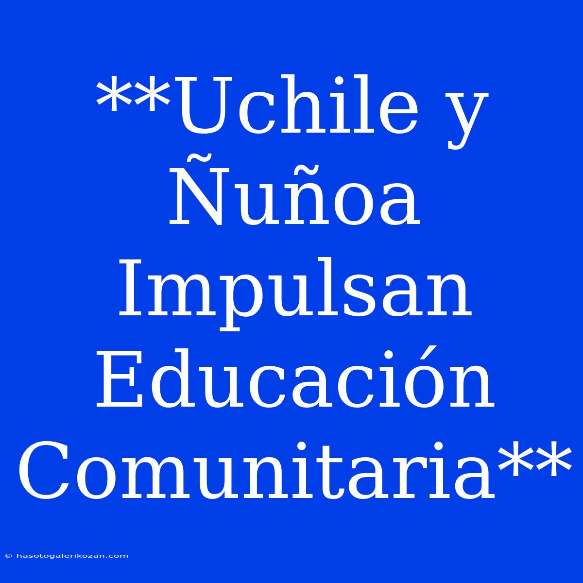 **Uchile Y Ñuñoa Impulsan Educación Comunitaria**