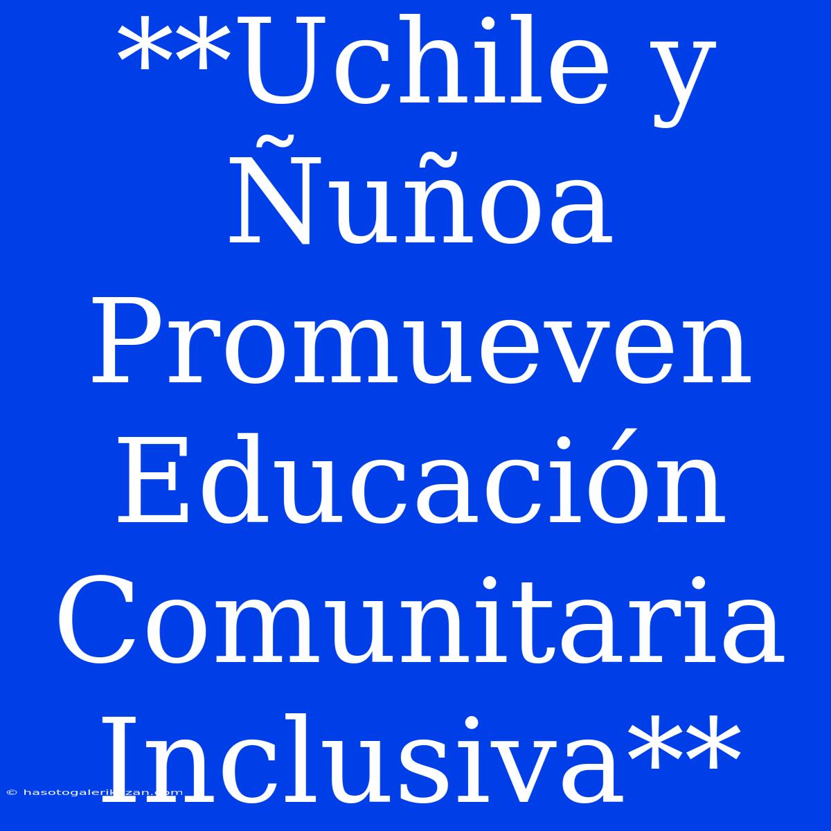 **Uchile Y Ñuñoa Promueven Educación Comunitaria Inclusiva**