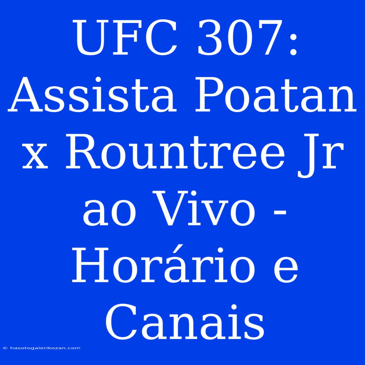 UFC 307: Assista Poatan X Rountree Jr Ao Vivo - Horário E Canais