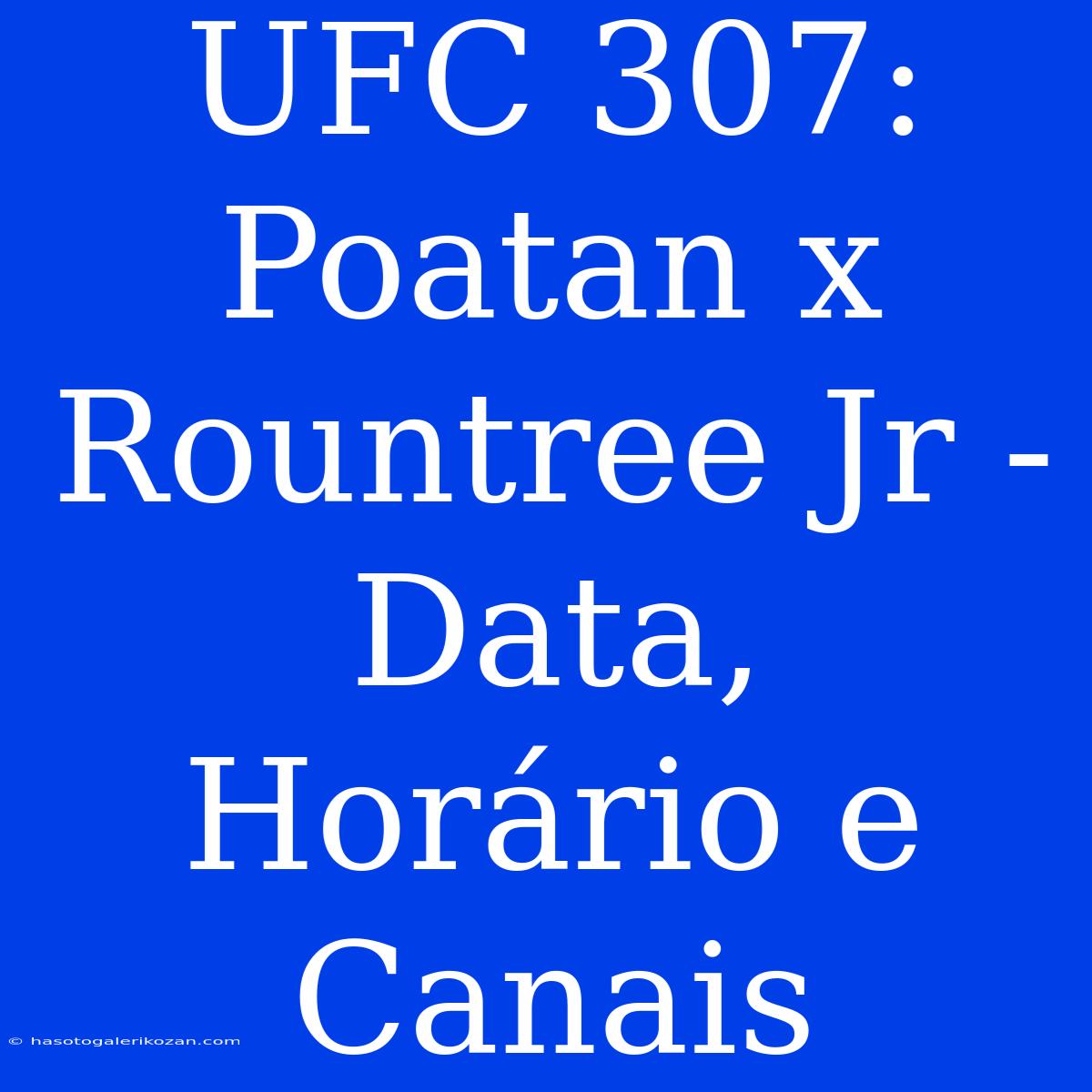 UFC 307: Poatan X Rountree Jr - Data, Horário E Canais