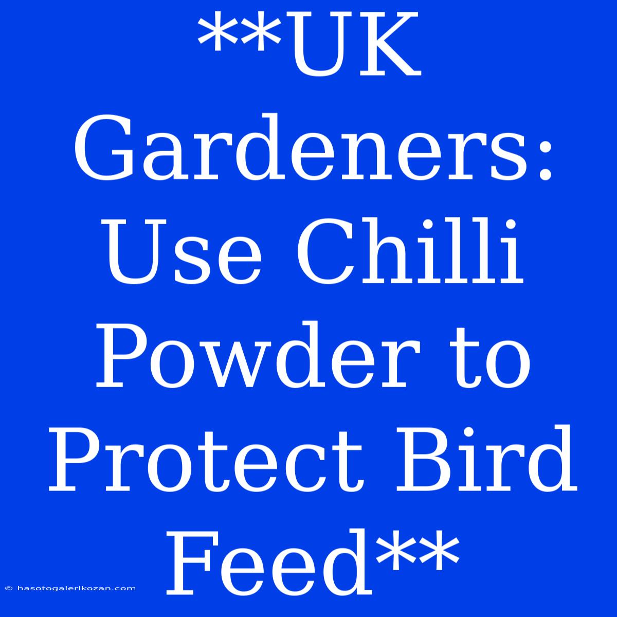 **UK Gardeners: Use Chilli Powder To Protect Bird Feed**