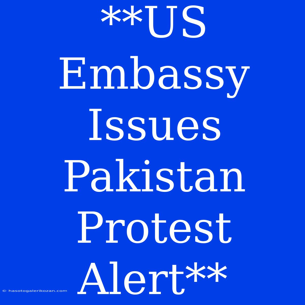 **US Embassy Issues Pakistan Protest Alert**